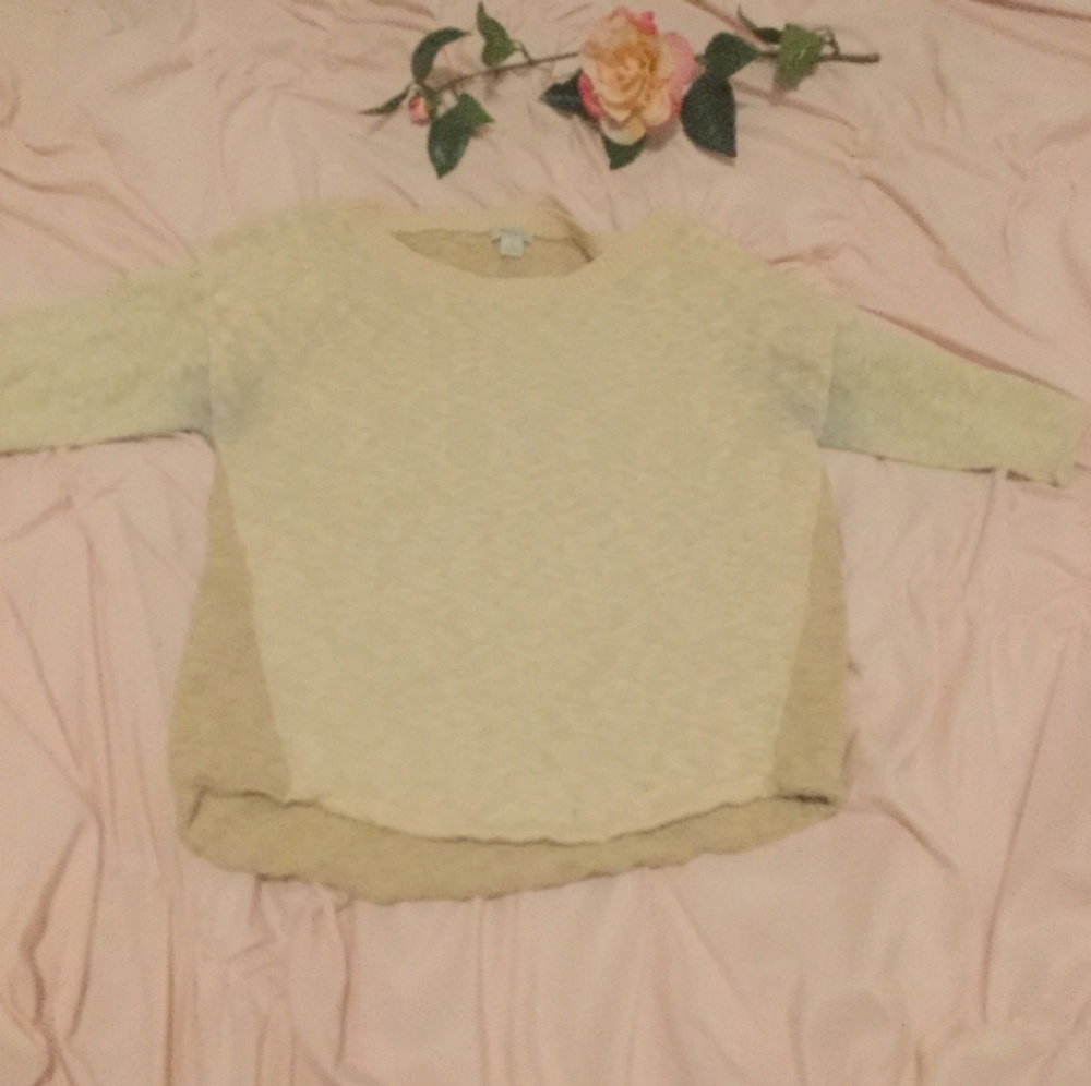 Fossil Sweater